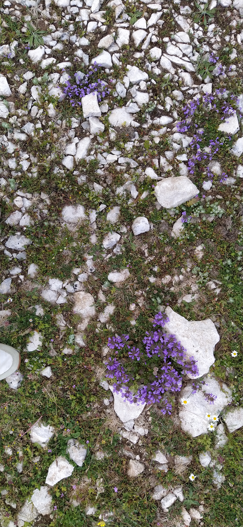 Euskal Herriko ehundurak 1