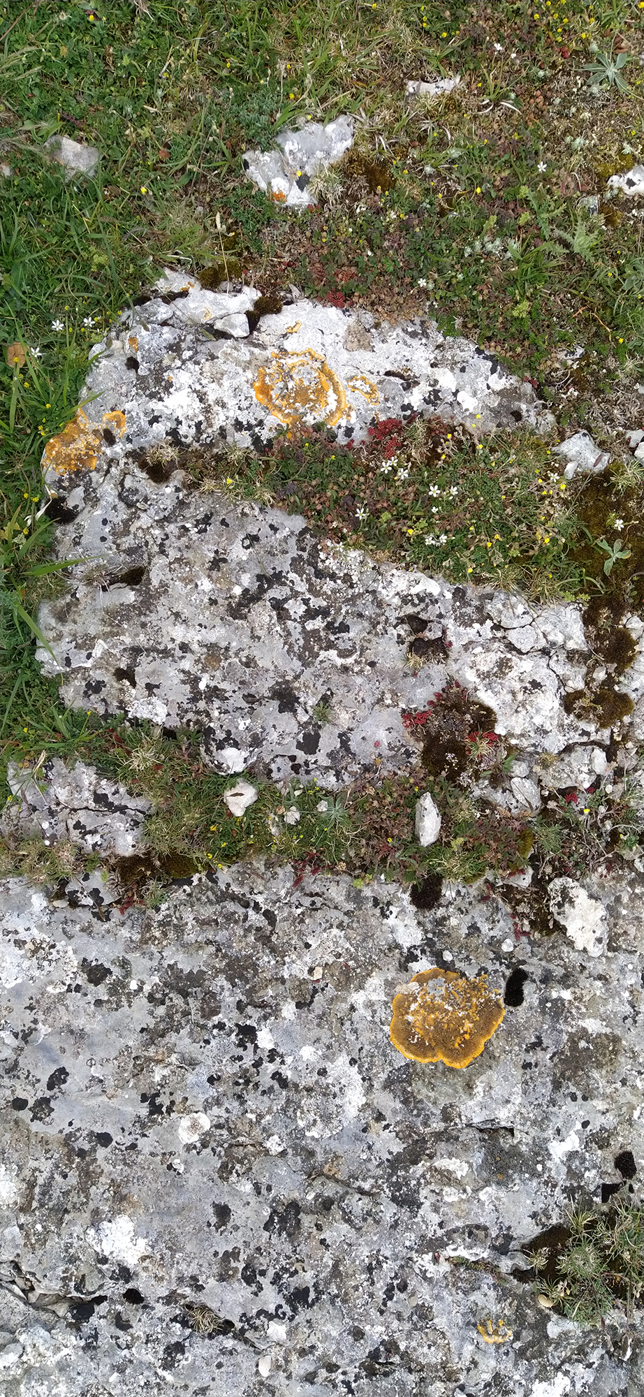 Euskal Herriko ehundurak 2