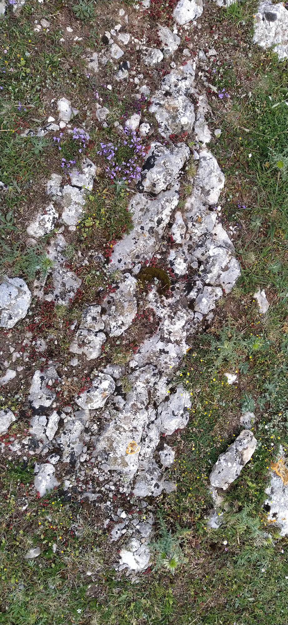 Euskal Herriko ehundurak 3