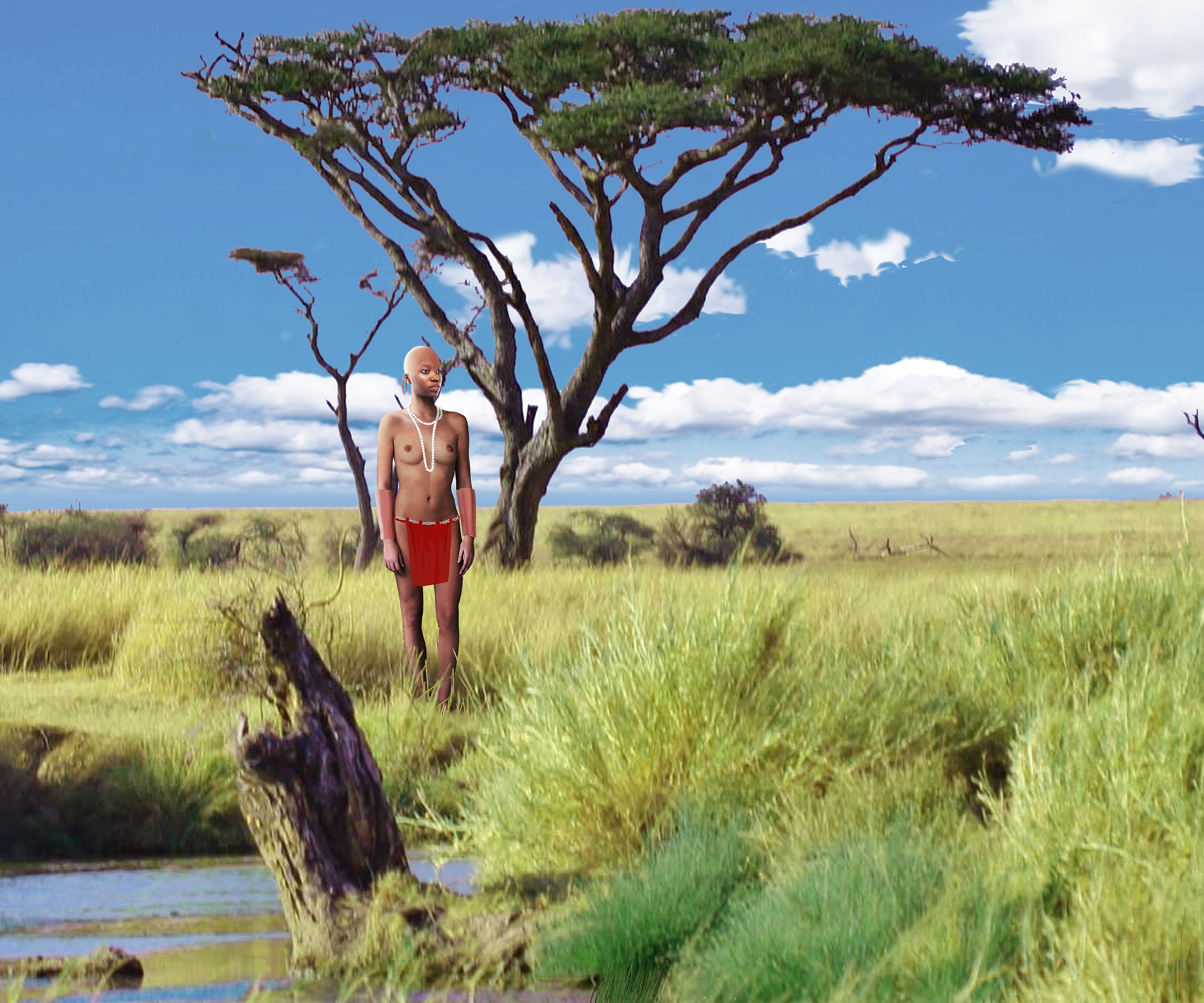 serengeti 121