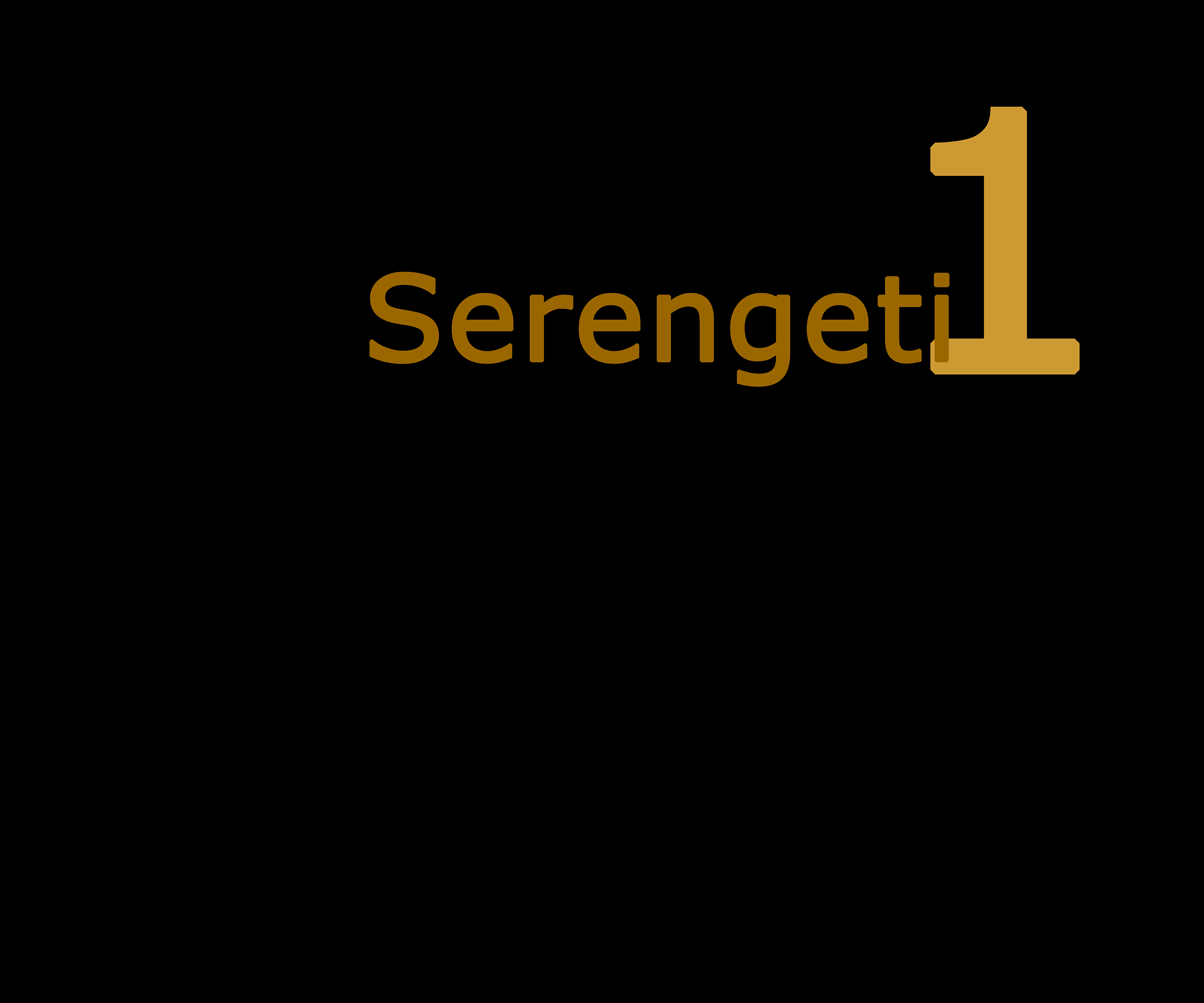serengeti 2