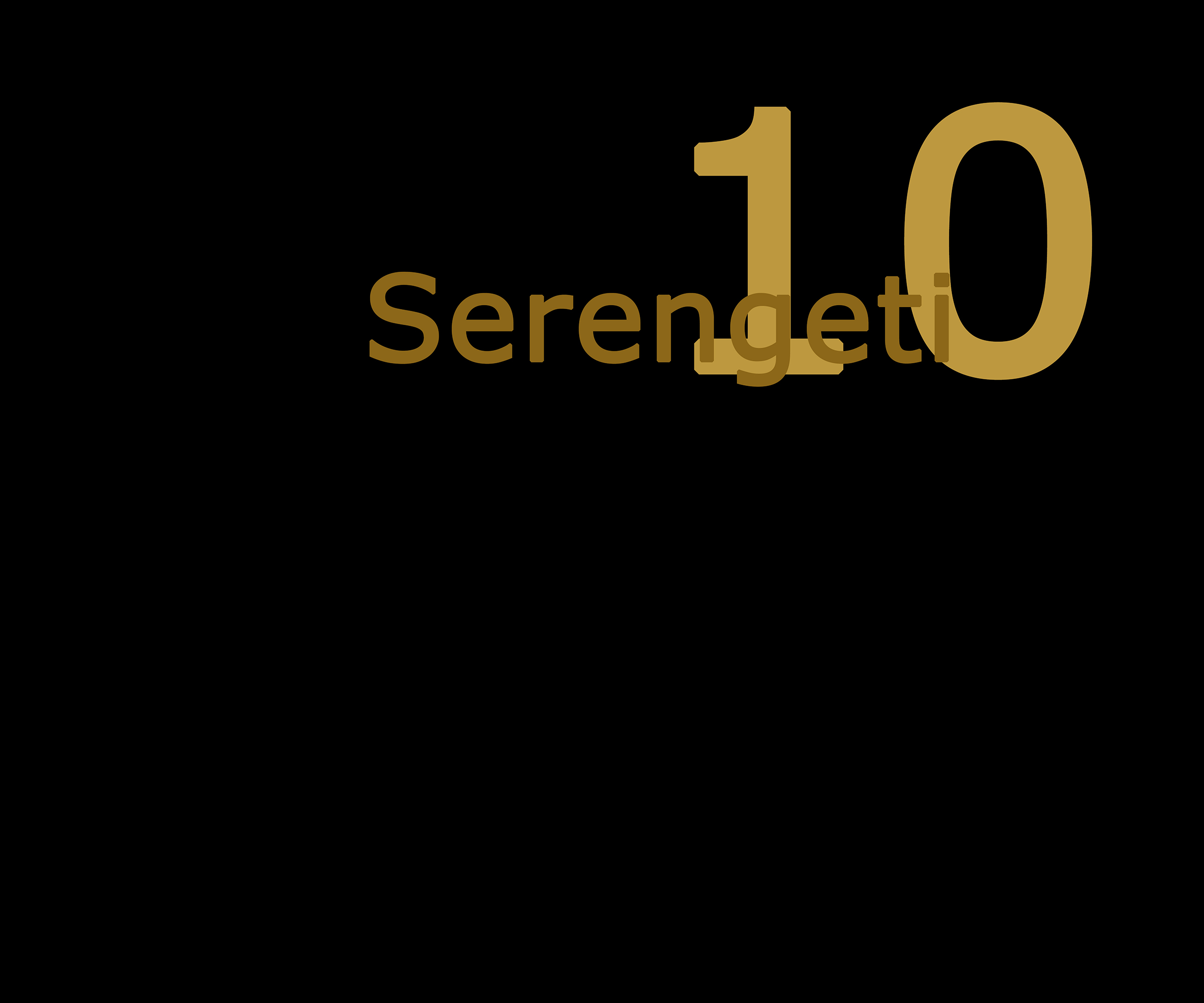 serengeti kap10