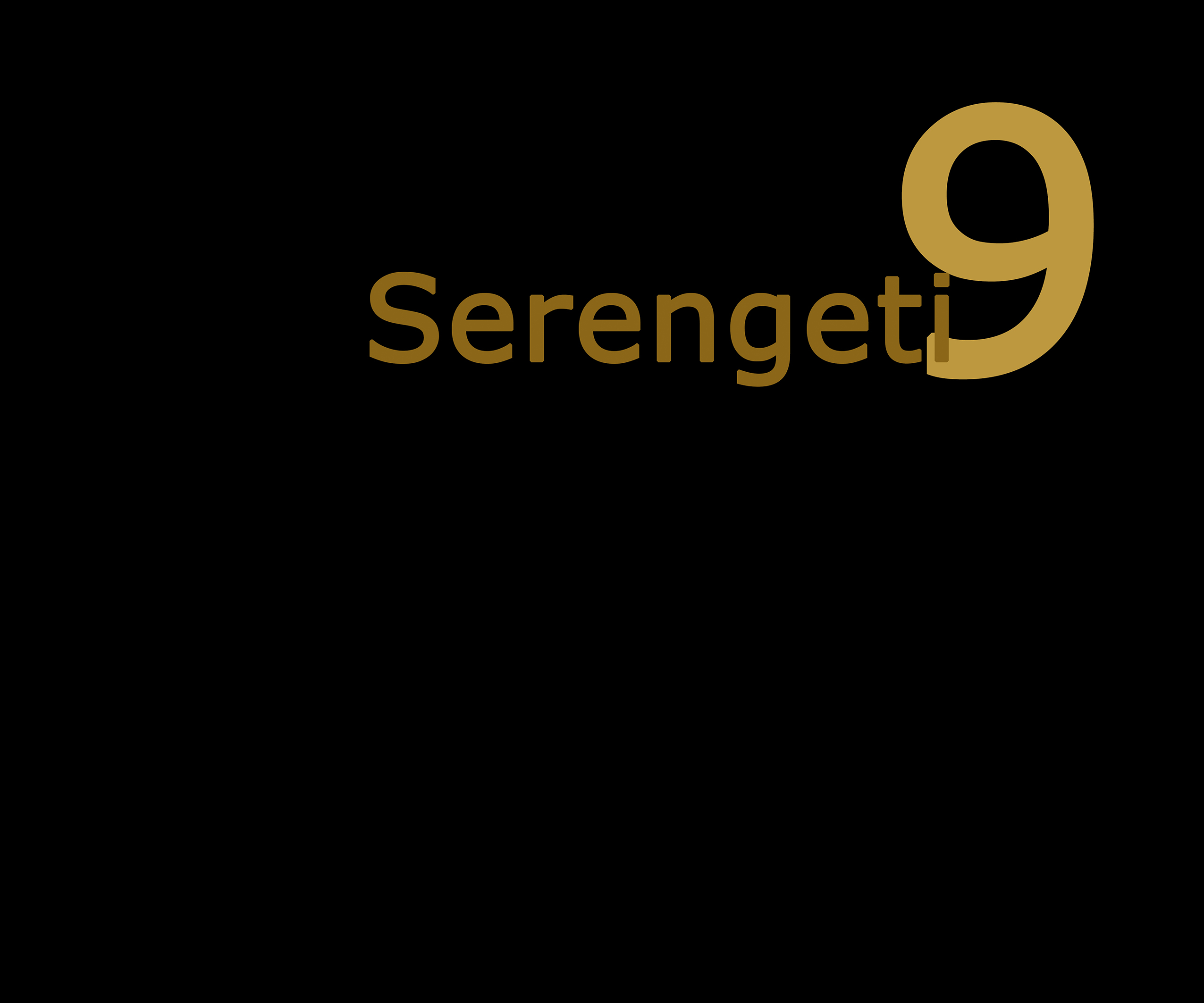 serengeti kap9